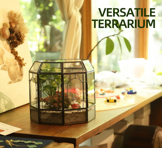 The Perfect Glass Terrarium for Indoor Plants: A Stylish, Well-Built Display for Succulents & Mini Gardens